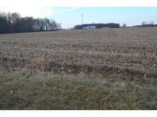 Property photo 2 - LAND AUCTION - 19.55+/- ACRES IN 1 TRACT IN ALLEN COUNTY, INDIANA